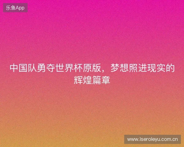 中国队勇夺世界杯原版，梦想照进现实的辉煌篇章