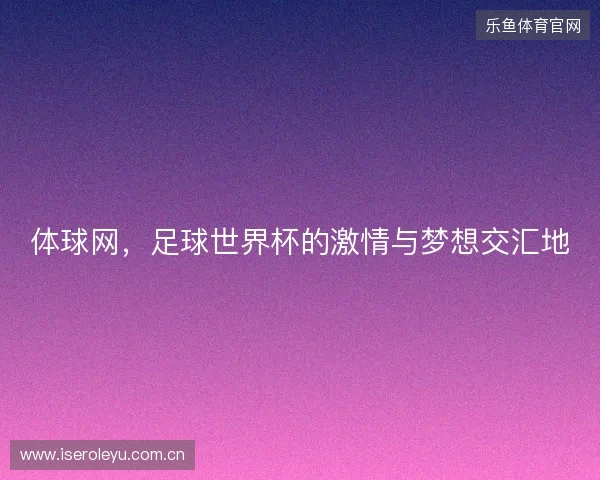 体球网，足球世界杯的激情与梦想交汇地