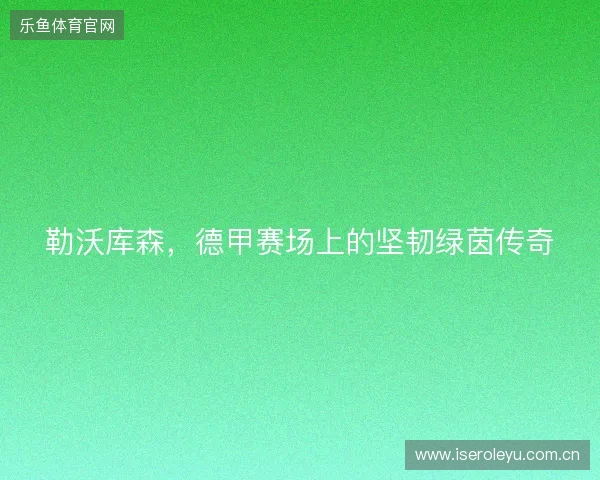 勒沃库森,德甲赛场上的坚韧绿茵传奇 勒沃库森,德甲赛场上的坚韧绿茵传奇